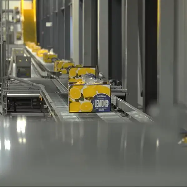 Lemon boxes going down a conveyor. 