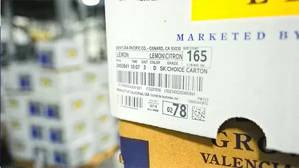 Printed mark on Ventura Lemon box