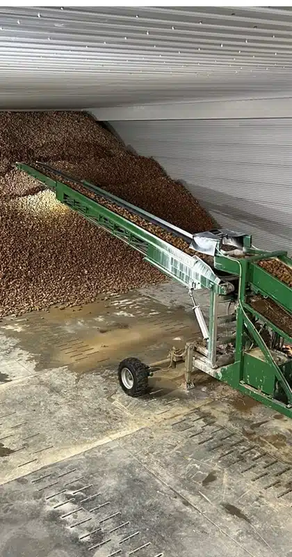 An industrial machine processes and moves potatoes to the back of a warehouse facility