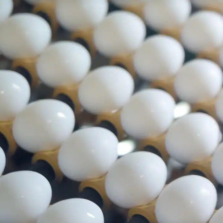 DAVA Foods eggs on conveyor.