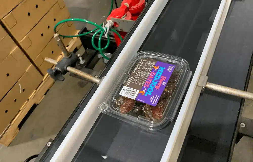 4Earth Farms dates moving down the conveyor