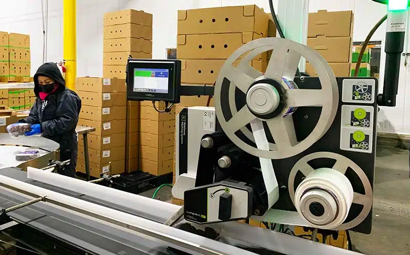 A-Series Labeler used on 4Earth Farms' conveyor system streamlines produce labeling, meeting the needs of packaged produce solutions and adhering to produce labeling requirements.