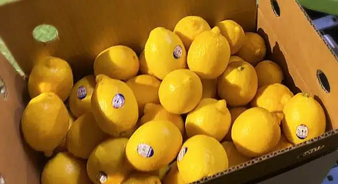 Cardboard box filled with fresh lemons, some with produce stickers.