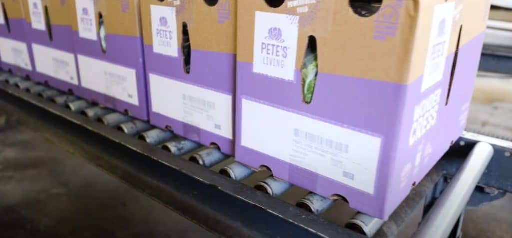 Pete's Living Greens employs a production line in their packaged produce solutions, meeting the necessary produce labeling requirements. Produce labeling, packaged produce solutions, produce labeling requirements.