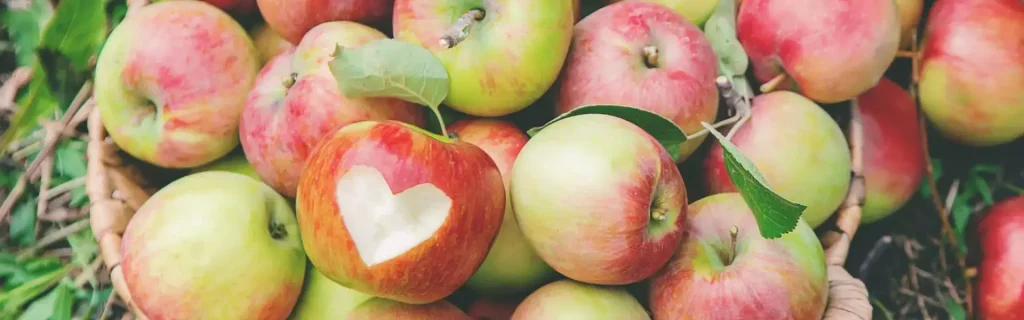 Global Produce & Floral Show Recap