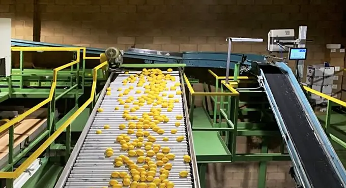 30% Production Gain by Leading Citrus Grower
